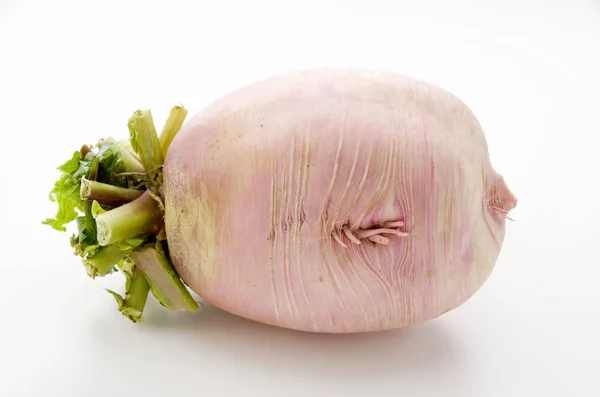 Roter Japanischer Rettich Beni Shigure Daikon — Stockfoto