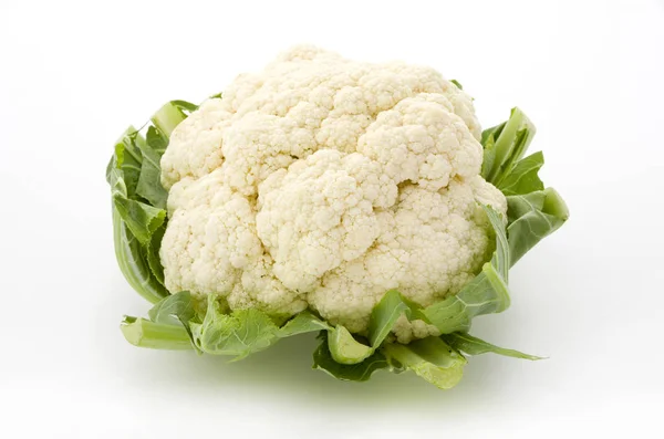 Fresh Cauliflower White Background — Stock Photo, Image