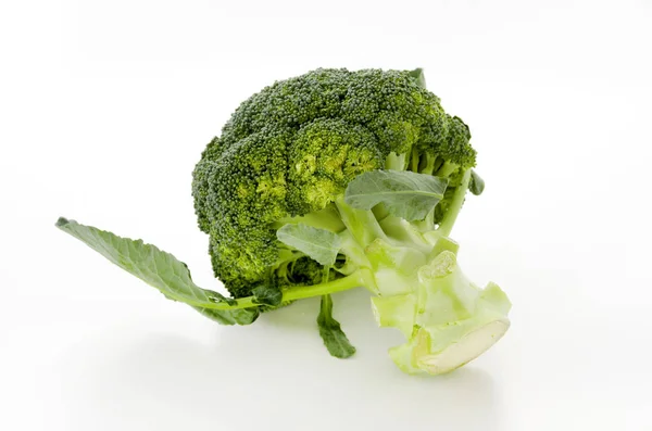 Brokoli Diisolasi Pada Latar Belakang Putih — Stok Foto