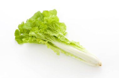 Shantung sebzeleri, Çin lahana gündemi 'santou-naa'