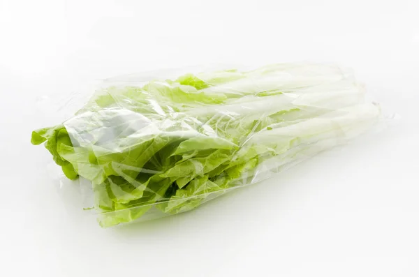 Schantung Gemüse Chinakohl Santou Genannt — Stockfoto