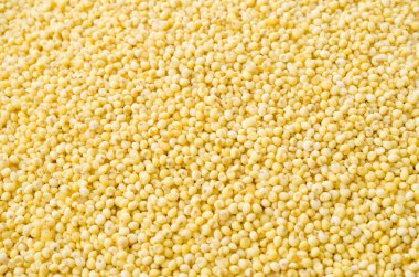 Glutinous Millet dokusu veya arkaplanı