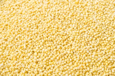 Glutinous Millet dokusu veya arkaplanı