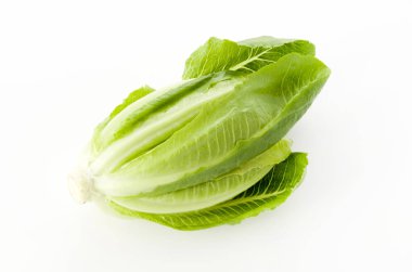 Beyaz arkaplanda taze yeşil Romaine Marul