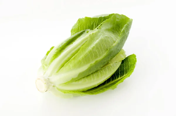 Frischer Grüner Römersalat Auf Weißem Hintergrund — Stockfoto