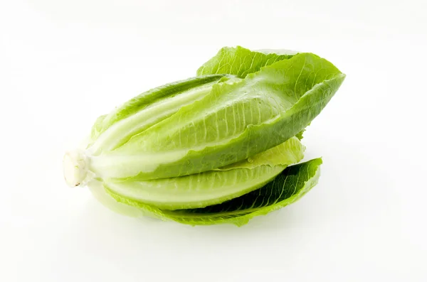 Frischer Grüner Römersalat Auf Weißem Hintergrund — Stockfoto