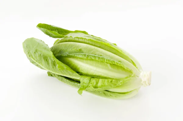 Fresh Green Romaine Lettuce White Background — Stock Photo, Image