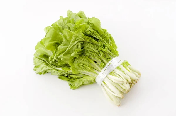 Schantung Gemüse Eine Chinakohlgattung Namens Santou — Stockfoto