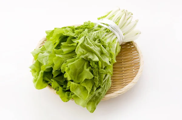 Shantung Vegetables Genus Chinese Cabbage Called Santou — Stock Photo, Image