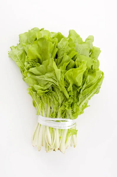 Shantung vegetables, a genus of Chinese cabbage called 'santou-na' — Stock Image Shantung Vegetables Genus Chinese Cabbage Called Santou Royalty Free Stock Images