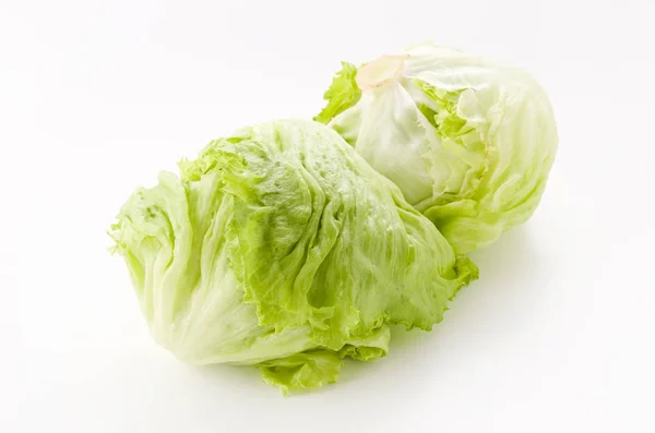Čerstvé Listy Salátu Bílém Pozadí — Stock fotografie