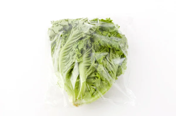 Φρέσκα Πράσινα Φύλλα Μαρουλιού Πλαστική Σακούλα Λευκό Φόντο — Φωτογραφία Αρχείου