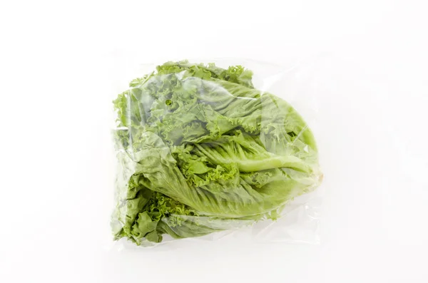 Зеленые Листья Салата Пластиковом Пакете Белом Фоне — стоковое фото