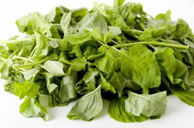 Amaranthus beyaz arkaplanda bırakır