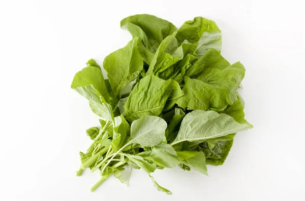 Amaranthus beyaz arkaplanda bırakır