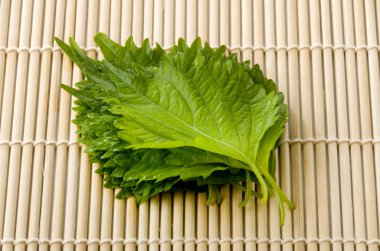 Taze yeşil shiso (perilla) veya bambu hasırı üzerinde oba yaprağı