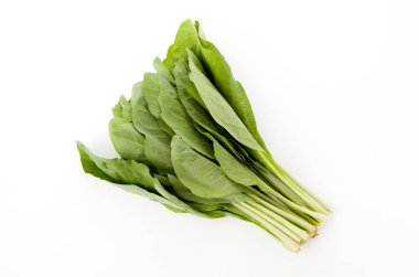 Nigana, Njana, Hosobawadan (Crepidiastrumlanceolatum lanceolatum), yeşil yapraklı sebzeler