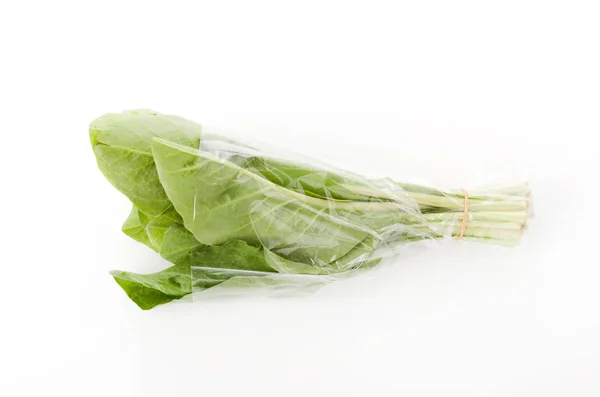 Nigana Njana Hosobawadan Crepidiastrumlanceolatum Lanceolatum Zöld Leveles Zöldségek Műanyag Zacskóban — Stock Fotó