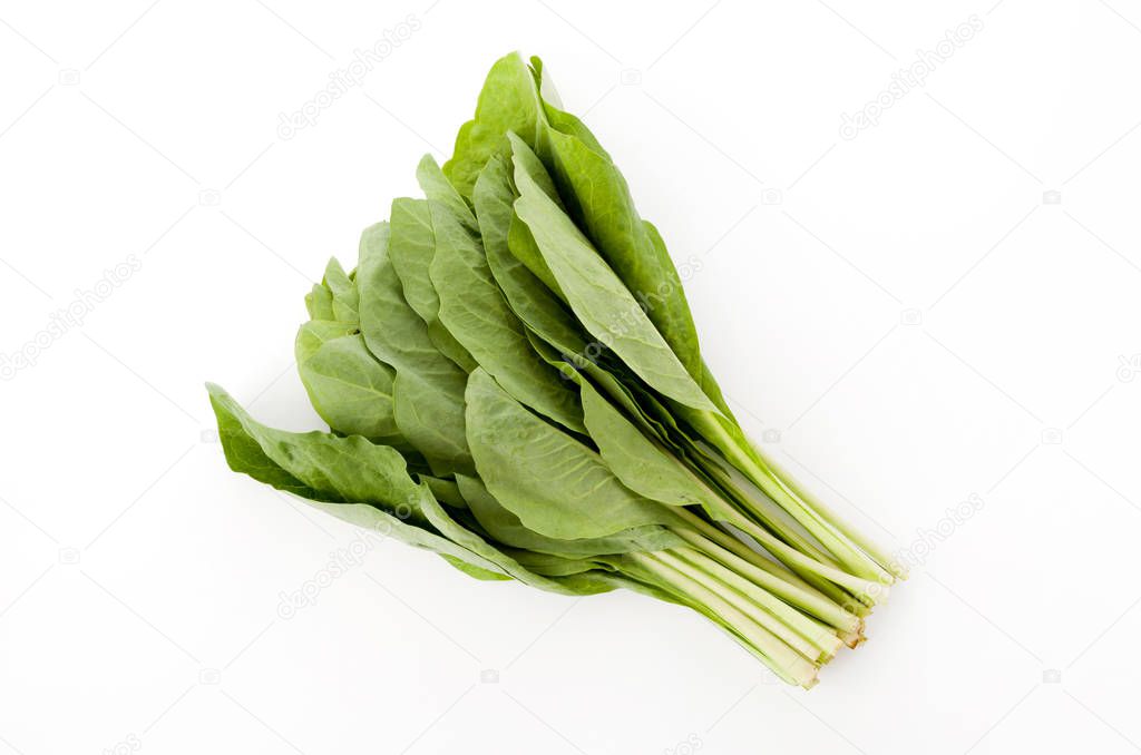 Nigana, Njana, Hosobawadan(Crepidiastrumlanceolatum lanceolatum), green leafy vegetables