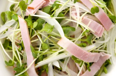 Kaiware Daikon Sprout ve domuz filetosu salatası.