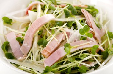 Kaiware Daikon Sprout ve domuz filetosu salatası.