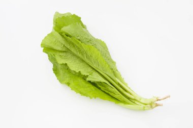 Beyaz Arkaplanda taze hardal yeşillikleri