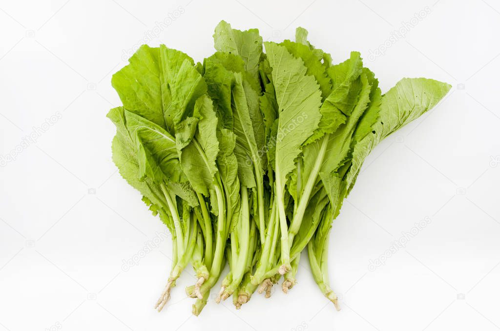 fresh Mustard greens on White Background