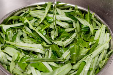 Sebzeleri (Çin Sabah Zaferi) mutfakta yıka. Yemek pişirmenin ilk adımı. 