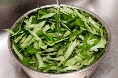 Sebzeleri (Çin Sabah Zaferi) mutfakta yıka. Yemek pişirmenin ilk adımı. 