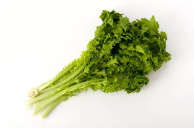 Beyaz arka planda wasabi yeşili