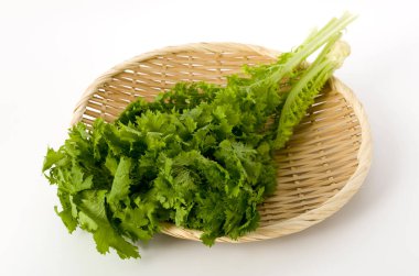 Beyaz arka planda bambu kevgir üzerinde wasabi yeşili