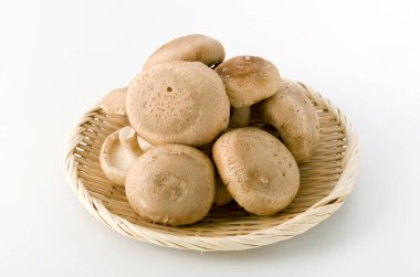 Beyaz arka planda bambu kevgirli Shiitake mantarı