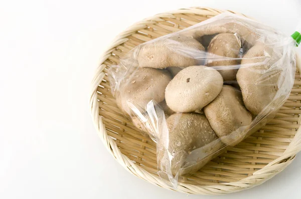 白底竹花椰菜上透明塑料袋中的芝麻蘑菇 — 图库照片