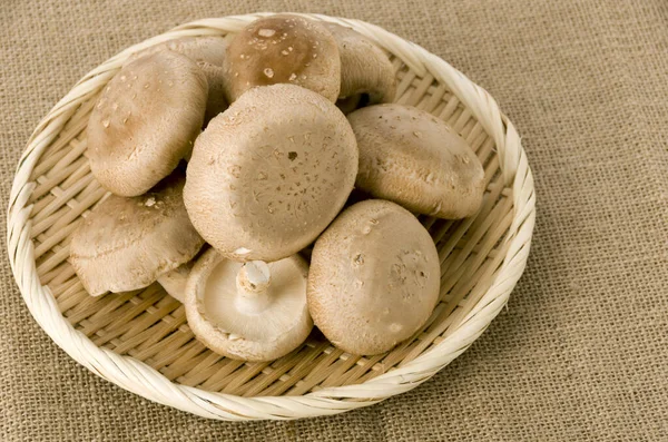 Champignon Shiitake Passoire Bambou Sur Fond Toile Jute — Photo