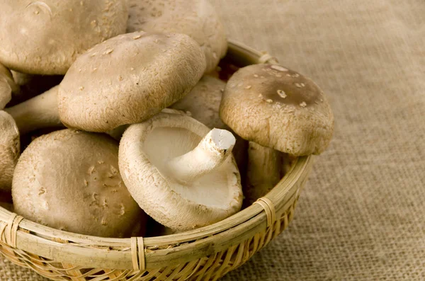 Champignon Shiitake Passoire Bambou Sur Fond Toile Jute — Photo