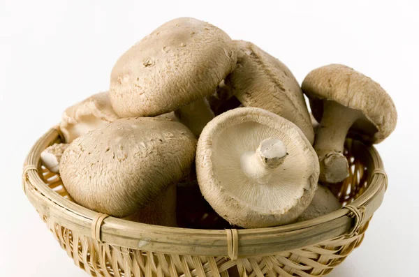 Cogumelo Shiitake Escorredor Bambu Fundo Branco — Fotografia de Stock