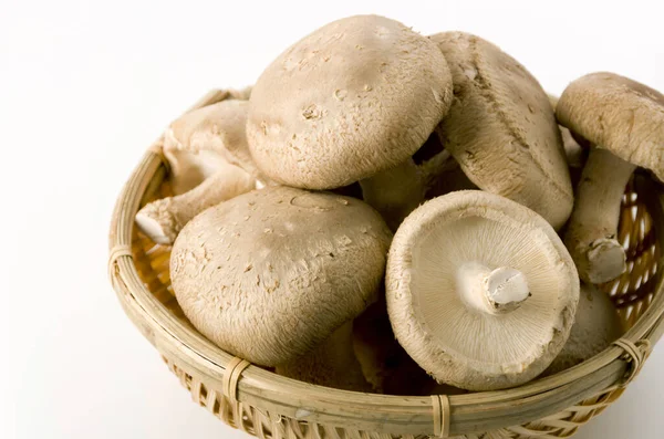 Cogumelo Shiitake Escorredor Bambu Fundo Branco — Fotografia de Stock