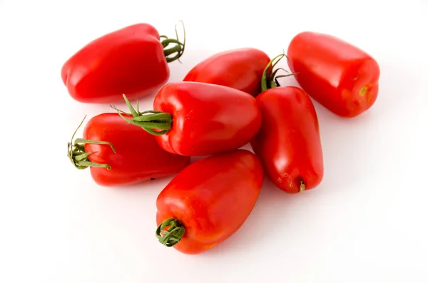 Frische San Marzano Tomate — Stockfoto