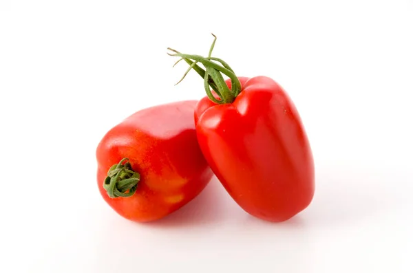 Frische San Marzano Tomate — Stockfoto