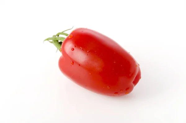 San Marzano Tomate Auf Weißem Hintergrund — Stockfoto