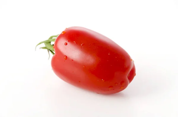 San Marzano Tomate Auf Weißem Hintergrund — Stockfoto
