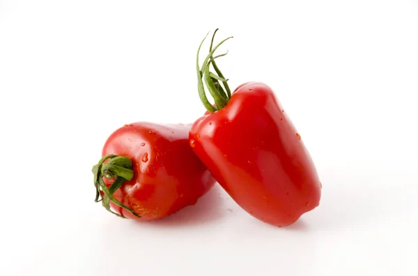 San Marzano Tomate Auf Weißem Hintergrund — Stockfoto