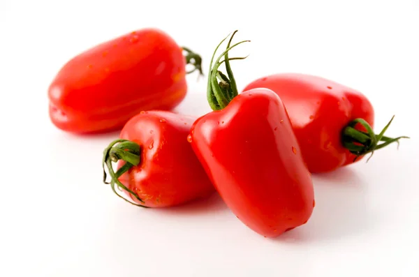 San Marzano Tomate Auf Weißem Hintergrund — Stockfoto