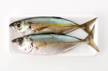 Selar crumenophthalmus, Bigeye scad, beyaz arka planda beyaz köpük tepsisindeki balık.