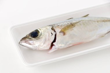 Selar crumenophthalmus, Bigeye scad, beyaz arka planda beyaz köpük tepsisindeki balık.