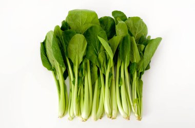 Komatsuna, Japon Hardal Ispanağı