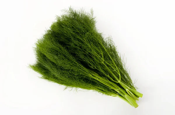 Fresh fennel isolated on white background