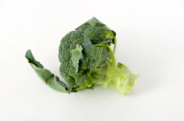 Fresh Broccoli White Background — Stock Photo, Image