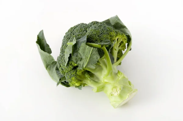 Frischer Brokkoli Auf Weißem Hintergrund — Stockfoto