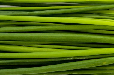 taze yeşil soğan arkaplanı 